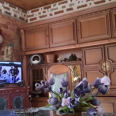 Arti Σπίτι διακοπών *