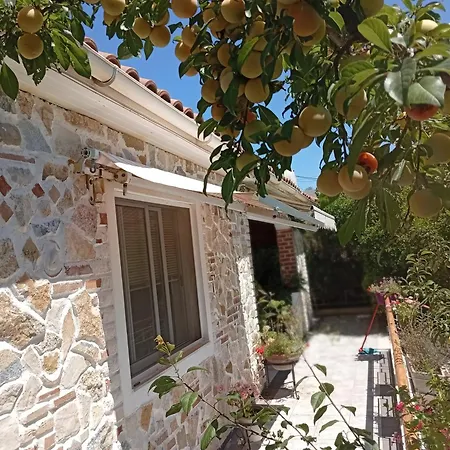 Arti Εξαμίλιο