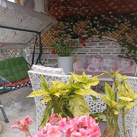 Arti 사밀