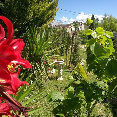 Arti Εξαμίλιο