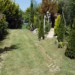Arti *