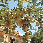 Tatil Evi Arti Ksamil