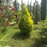 Arti * Ksamil