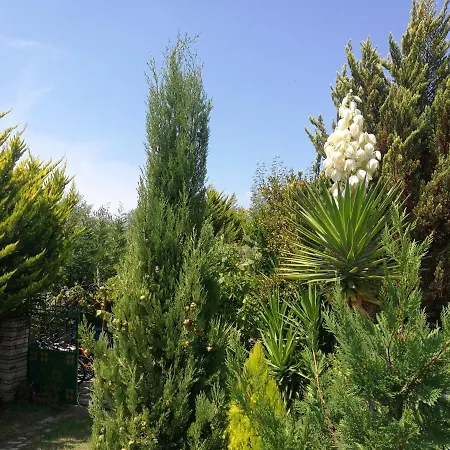 Arti Hébergement de vacances