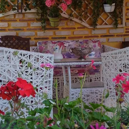 Hébergement de vacances Arti *
