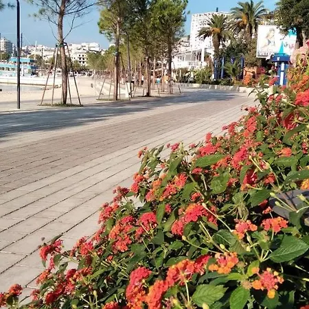 Arti Ksamil