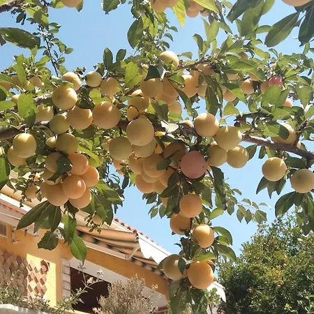 Hébergement de vacances Arti Ksamil