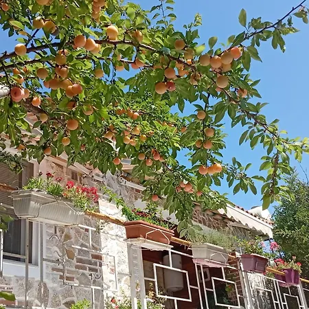 Arti Holiday home Ksamil