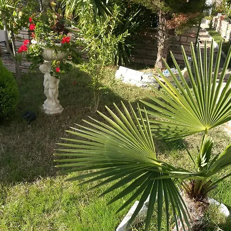 Arti Dom wakacyjny Ksamil