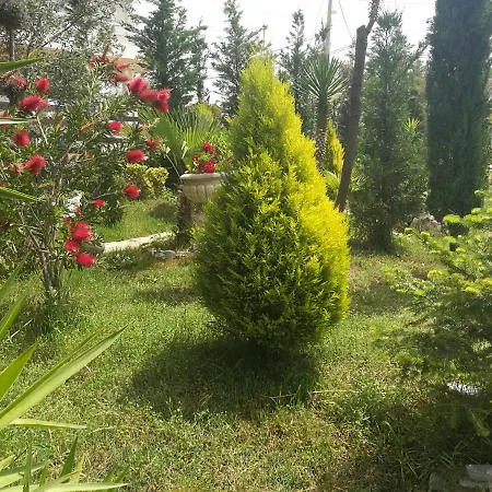 Arti * Ksamil
